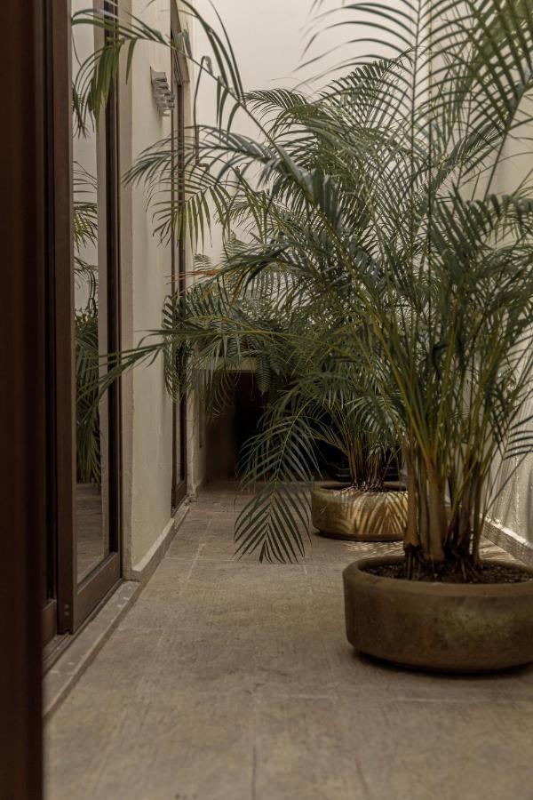 Casa Serena Beautiful Colonial Loft Campeche Exterior foto